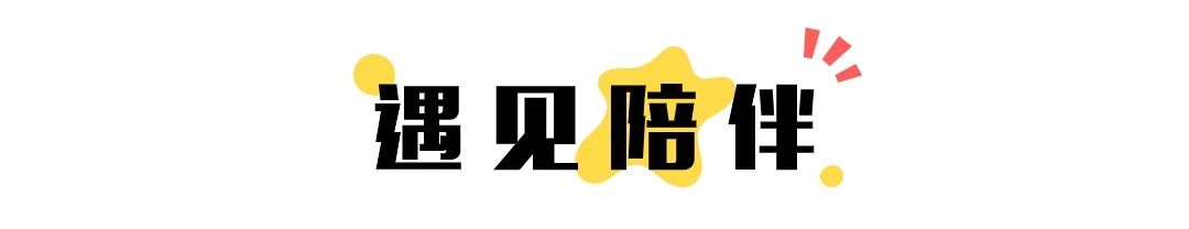 1735114774572951qYXg.jpg 遇見陪伴.jpg