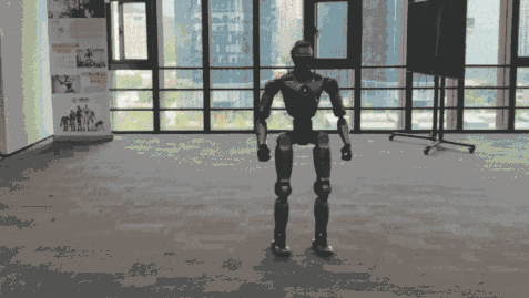 17678355525527382WEb.gif 17678355525527382WEb.gif